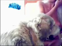 Blondie rubs her dog's knob